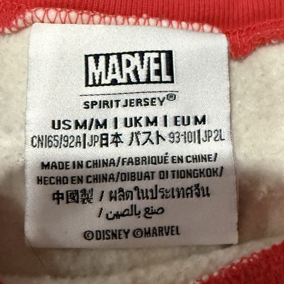 Disney Marvel Spider-Man Sherpa Spirit Jersey Pullover Medium M Sweatshirt - Picture 5 of 6